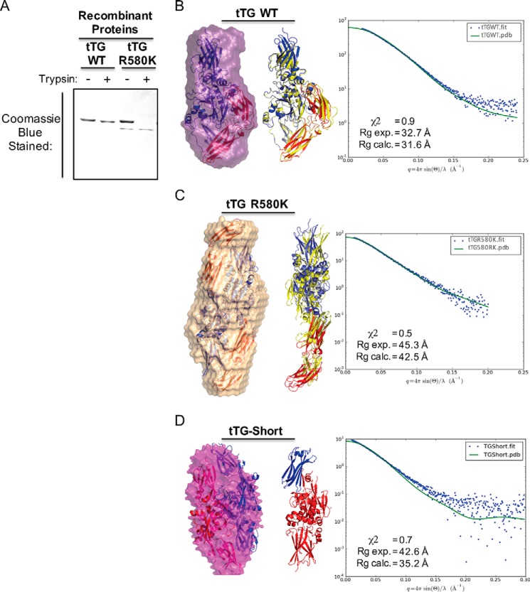 FIGURE 4.