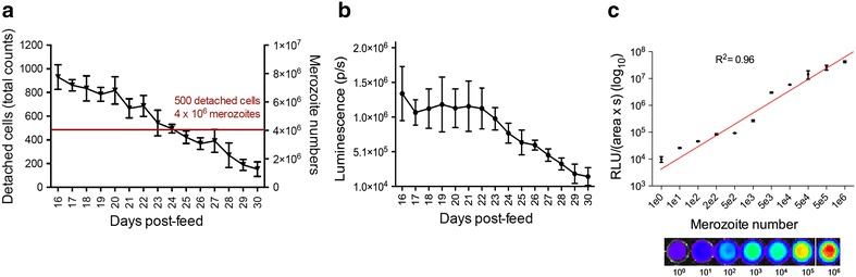 Fig. 3