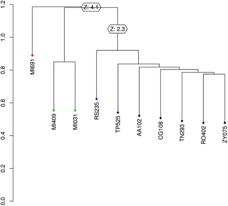 FIGURE 6