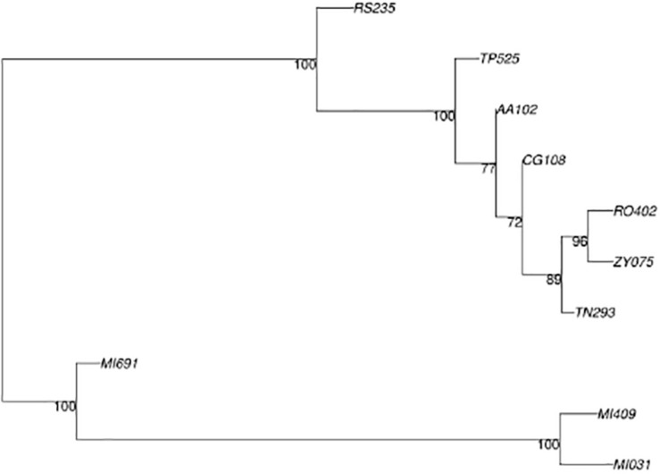 FIGURE 7