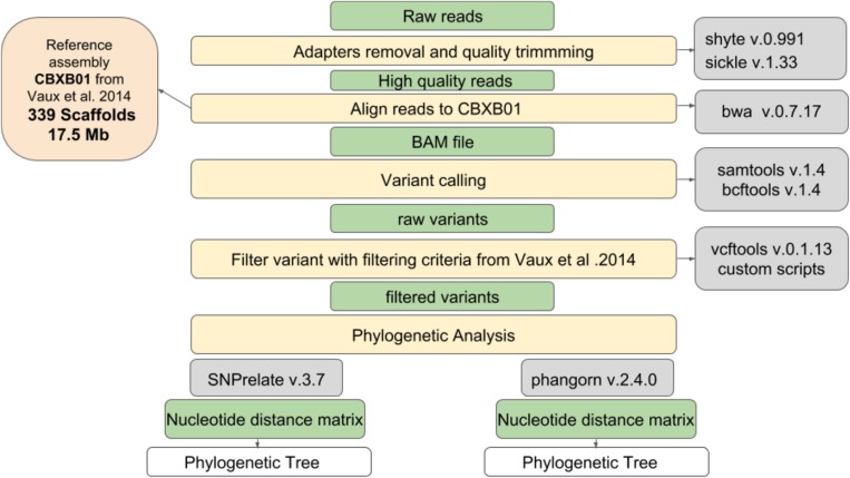 FIGURE 1