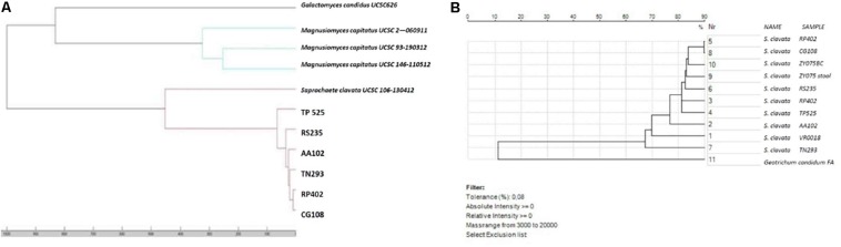 FIGURE 5