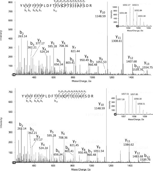 Fig. 6