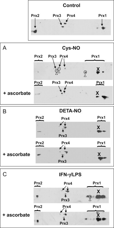 Fig. 5