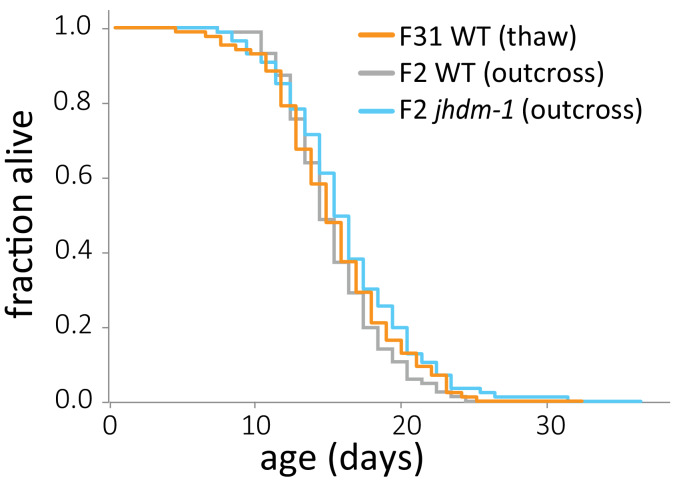 Figure 4—figure supplement 1.