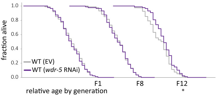 Figure 1—figure supplement 3.