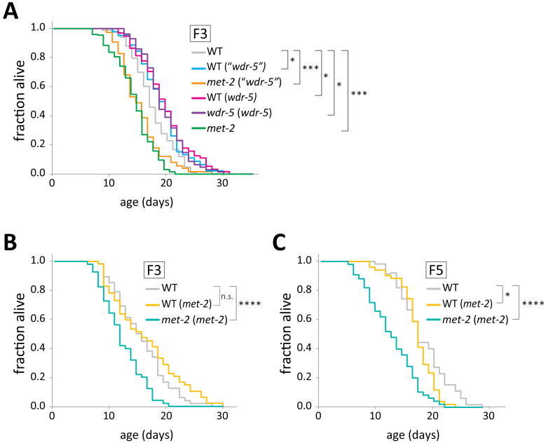 Figure 5—figure supplement 1.