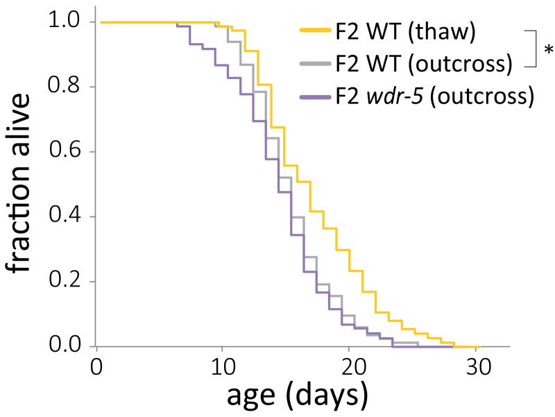 Figure 2—figure supplement 1.