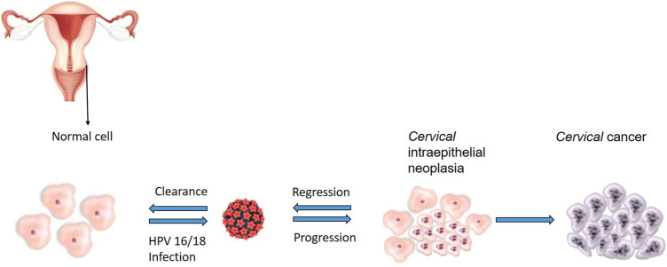 FIGURE 1