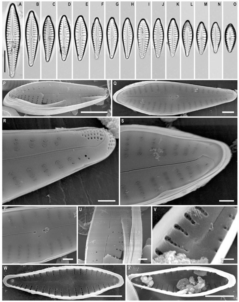 Figure 13