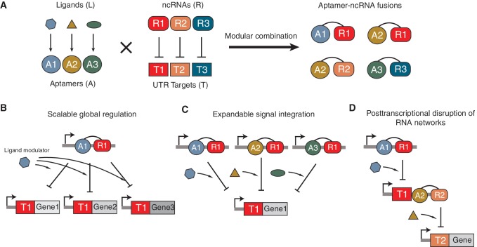 Figure 6.