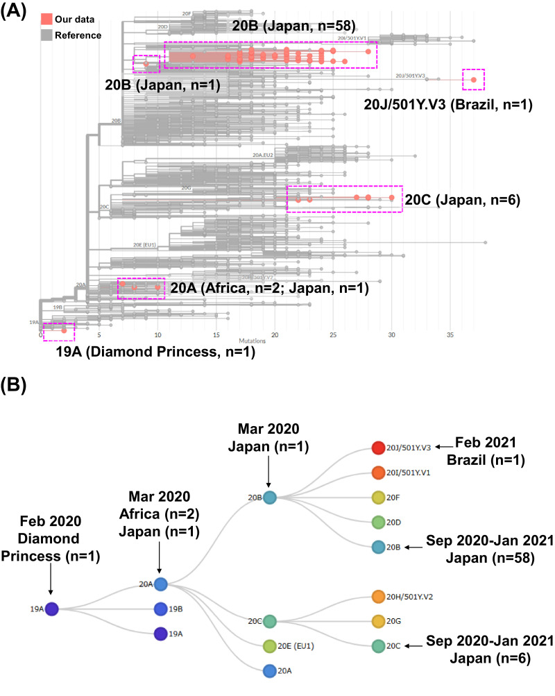 Fig 1