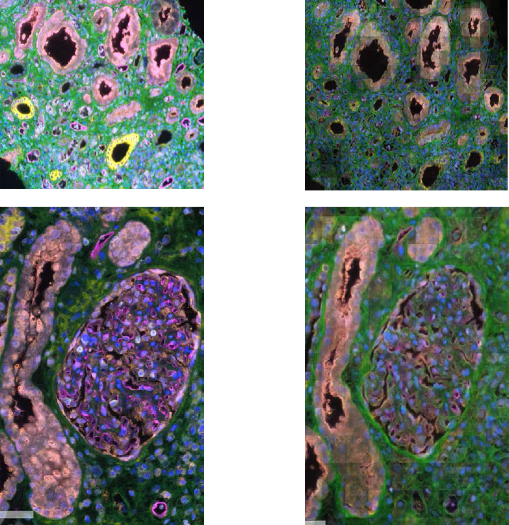 Figure 4: