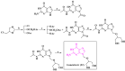 Scheme 12