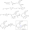 Scheme 6