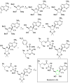 Scheme 14