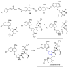 Scheme 4