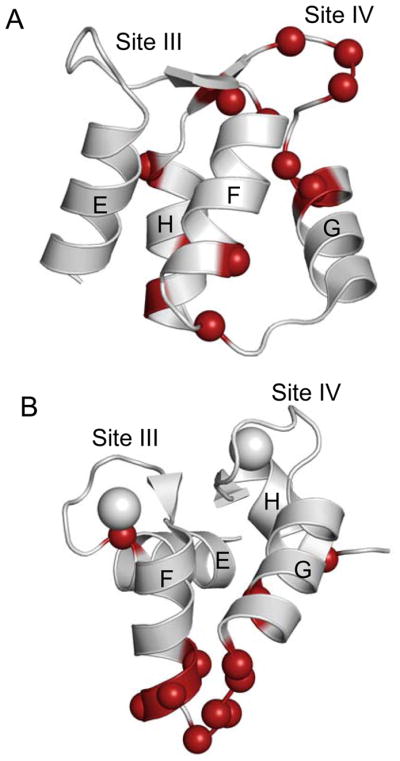 Figure 8