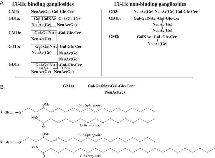 Fig. 7.