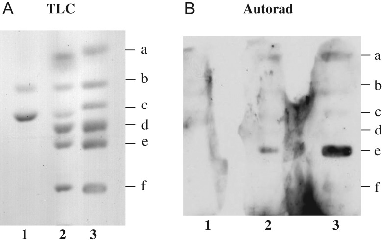 Fig. 4.