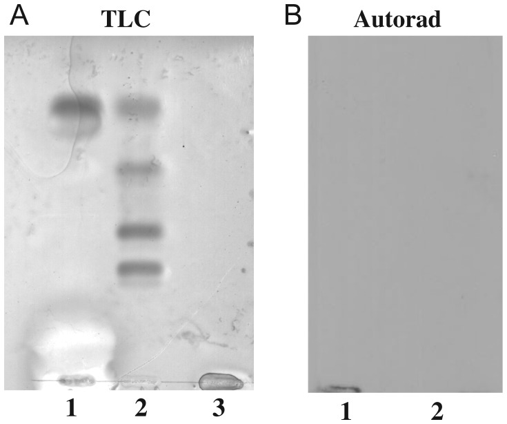 Fig. 6.