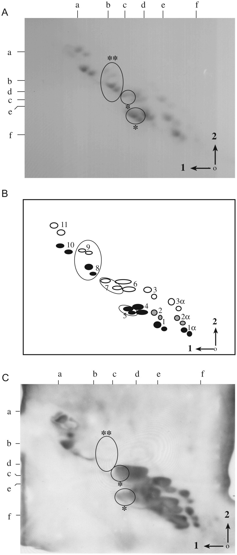 Fig. 2.