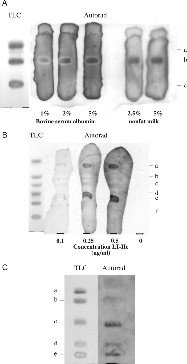 Fig. 1.