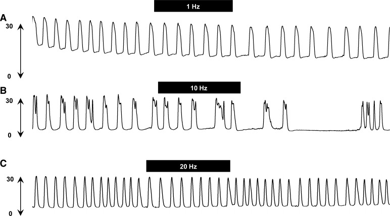 Fig. 5.