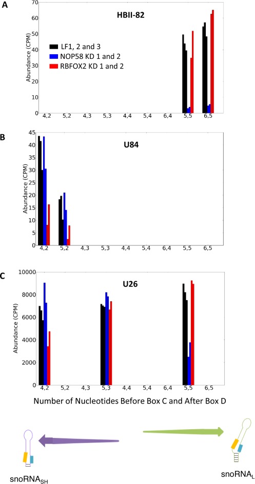 Figure 5.