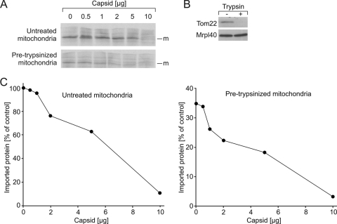 FIG. 8.