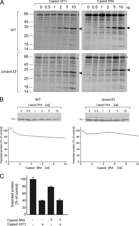 FIG. 7.