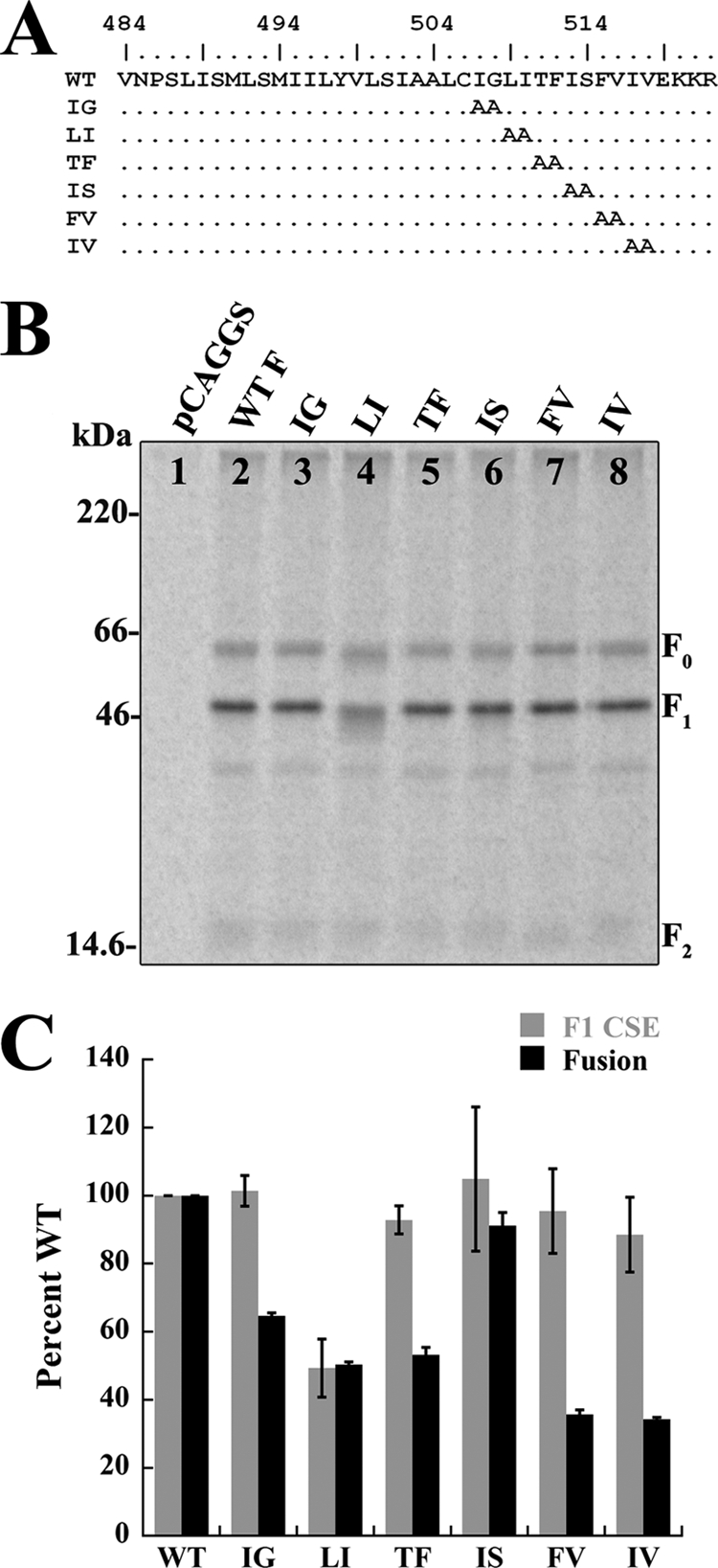 Fig 5