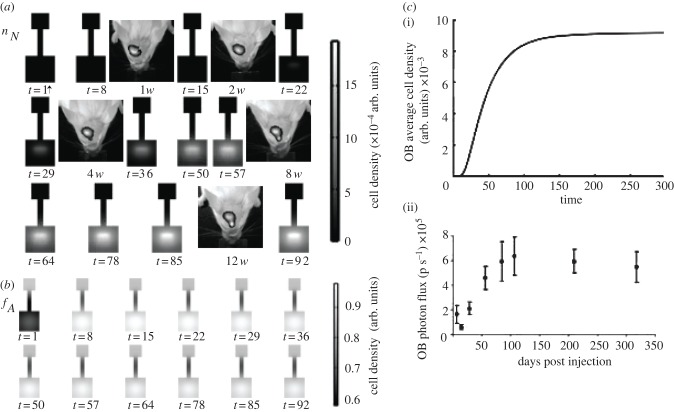 Figure 3.