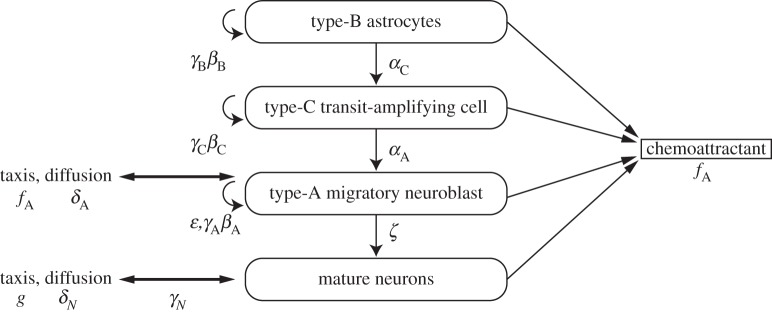 Figure 2.