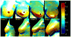 Fig. 4