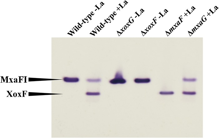 FIG 3 