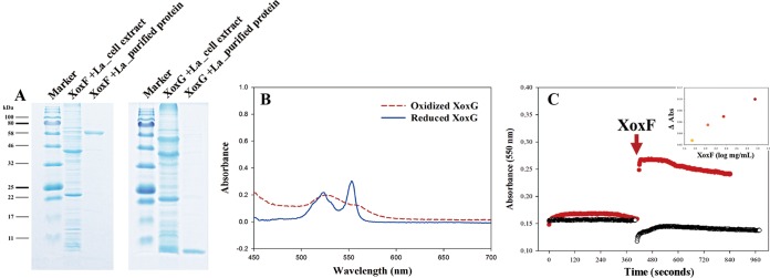 FIG 6 