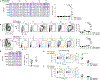 Fig. 8.