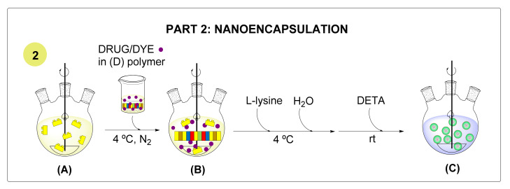 Scheme 2