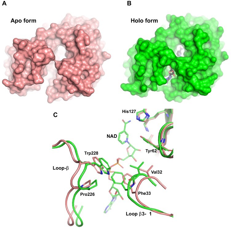 Fig. 7