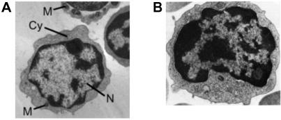 Fig 3.