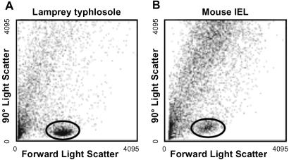 Fig 1.