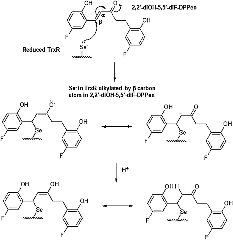 FIG. 8.