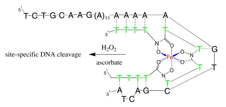 Fig. 9