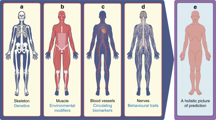 Fig. 2