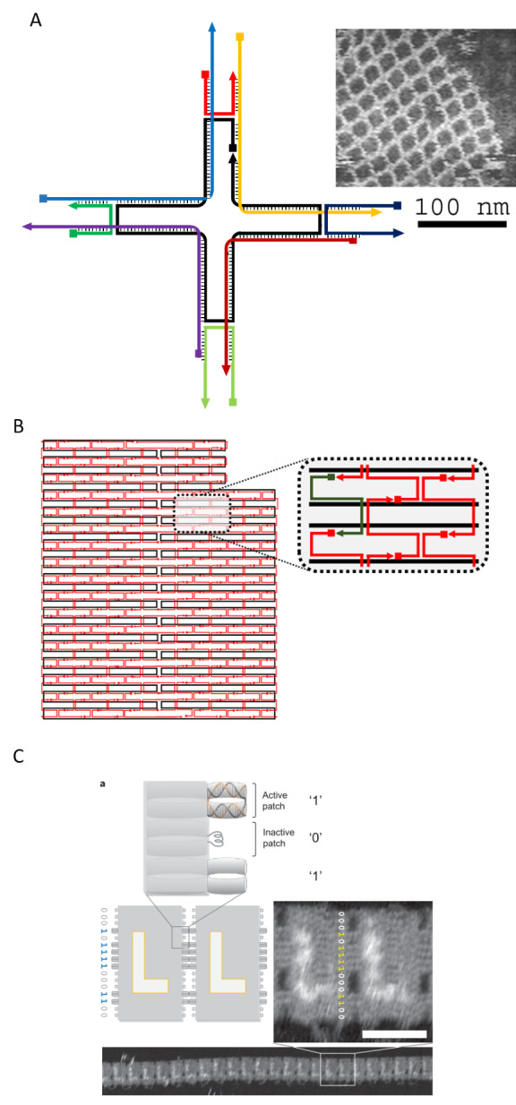 Fig. 3