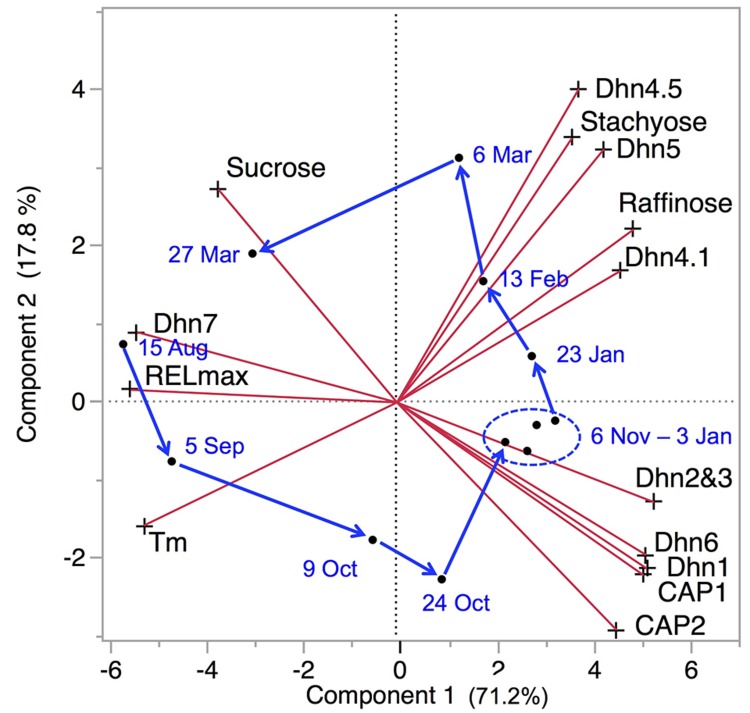 FIGURE 4