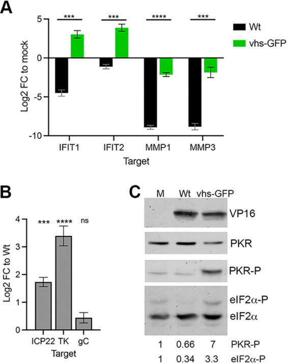 FIG 7