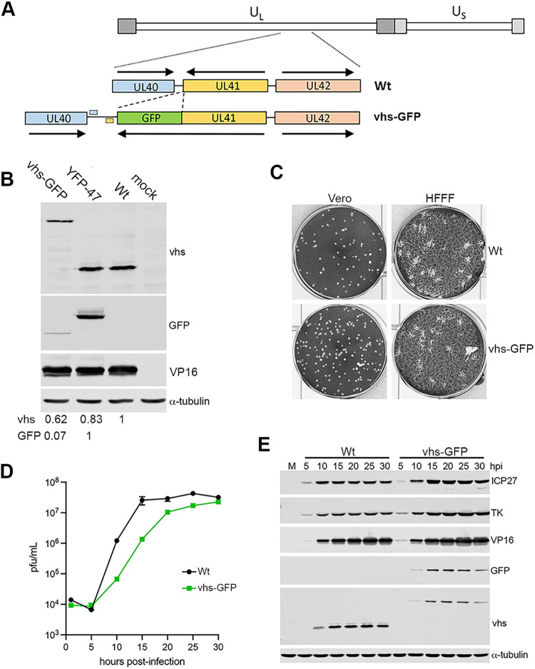 FIG 3