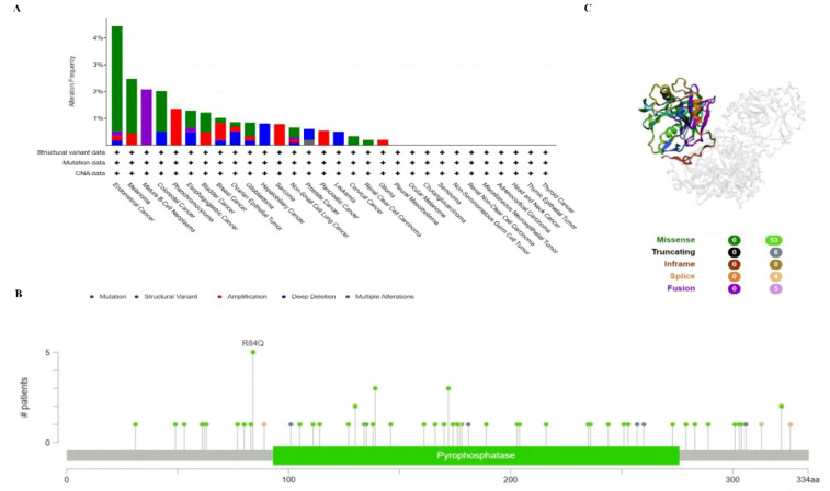 Figure 4